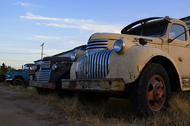 Old trucks lined up in the grass