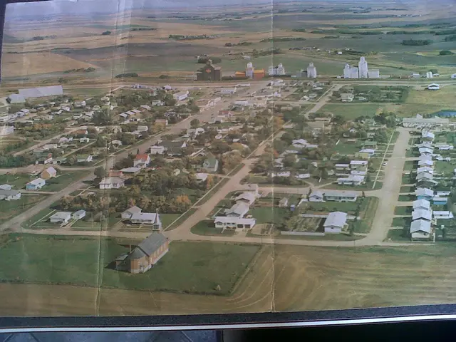 Aerial view of the town and grain elevators